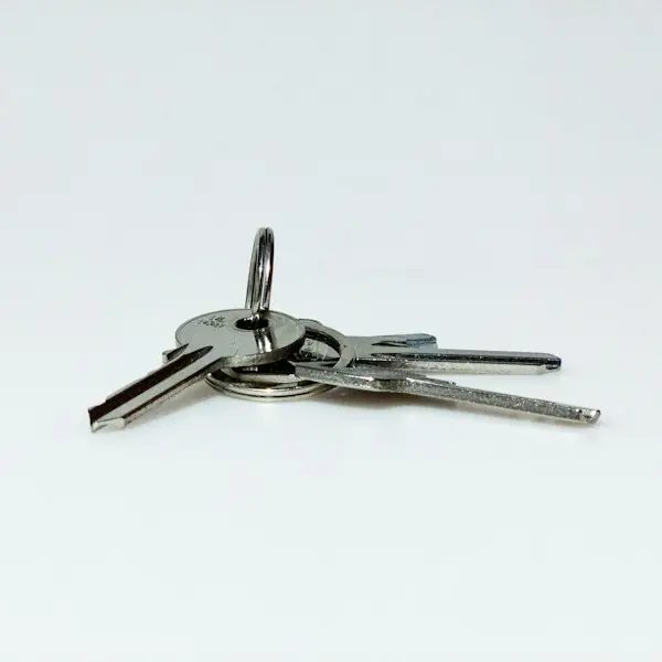 Keys on a keychain