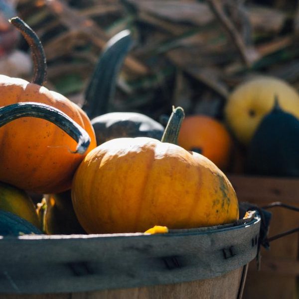 Pumpkins in a woven basket